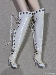 Barbie y Ken: Zapatos botas, fashion royalty, integrity
